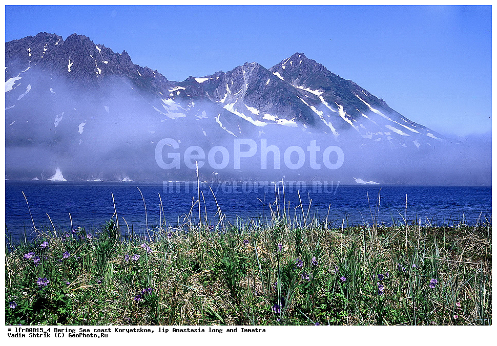 ��������� ����, ����, �������� ���������, ���������, ���� ���������, �������, ������