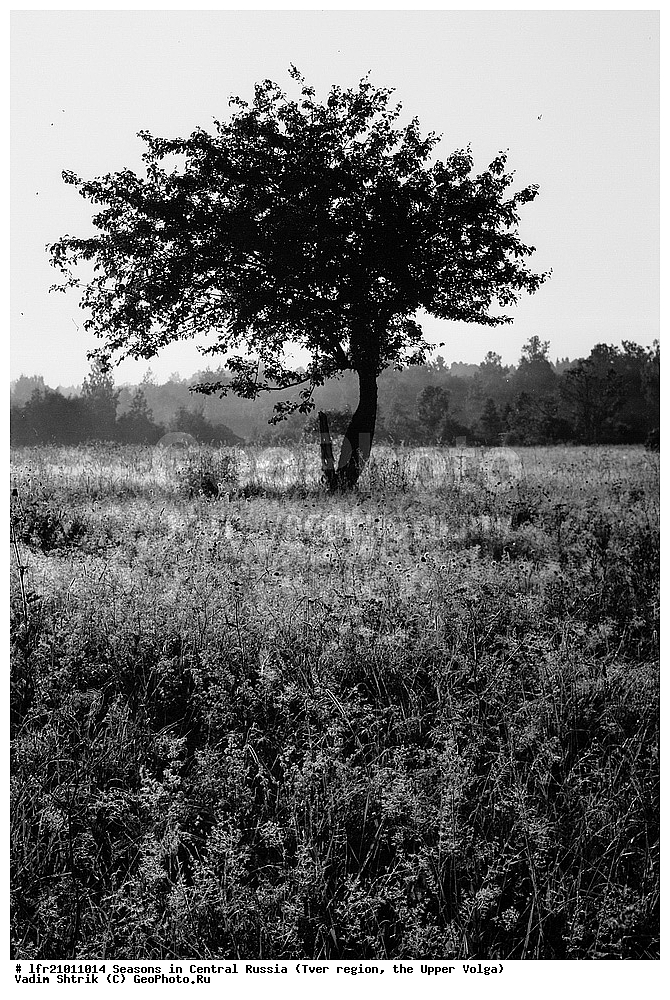 ������� ����, ������� ������, ������, �������� �������, ������������