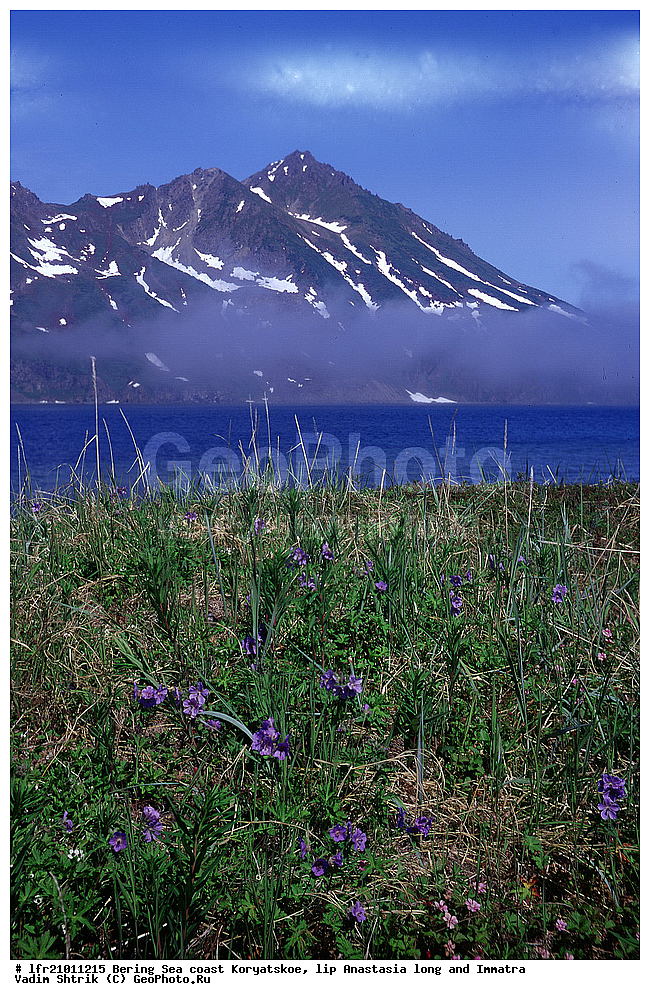 ��������� ����, ����, �������� ���������, ���������, ���� ���������, �������, ������