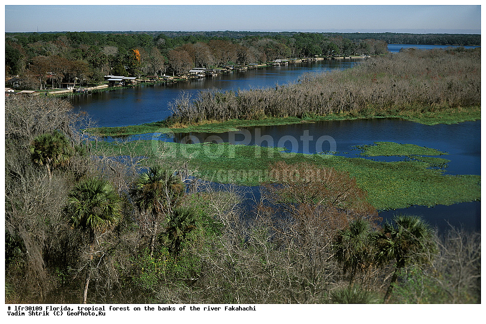 �������, ���, ����������� ���, �����, ����, �������, ������