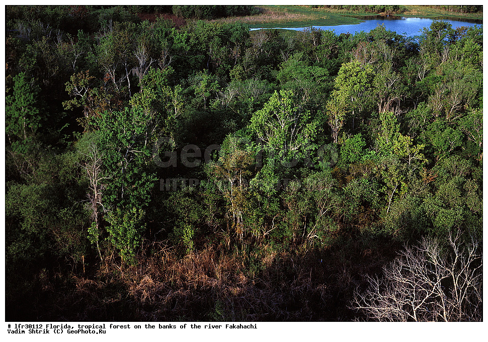 �������, ���, ����������� ���, �����, ����, �������, ������