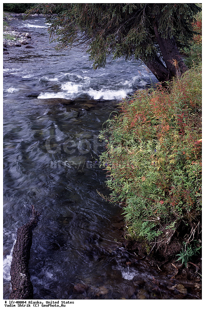  ���, ������, ������