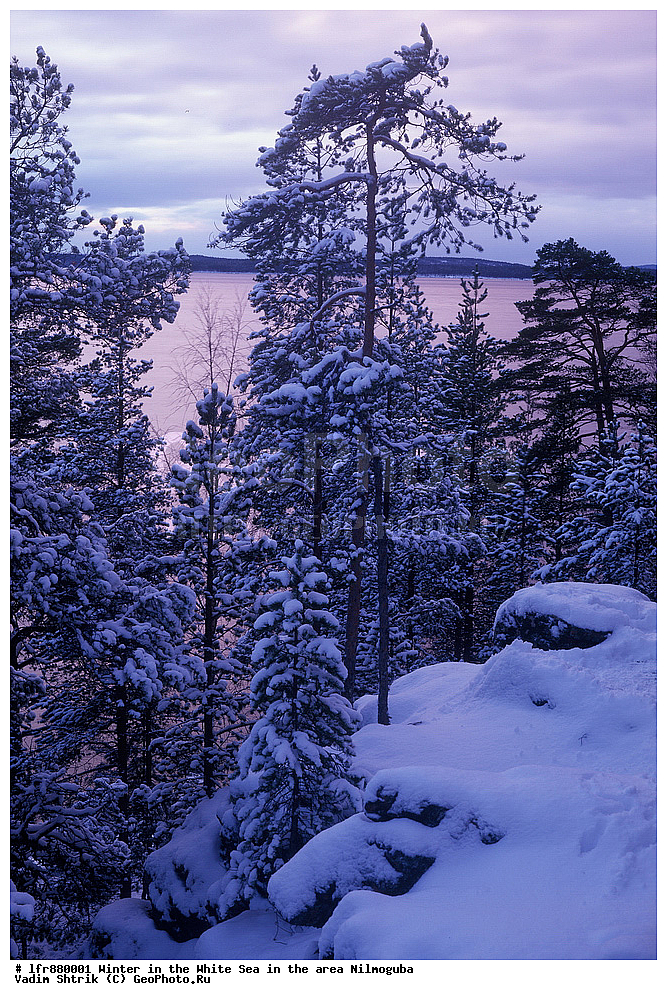 ����, ����� ����, ����, ����������