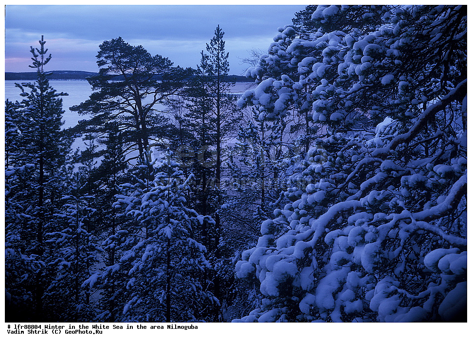 ����, ����� ����, ����, ����������