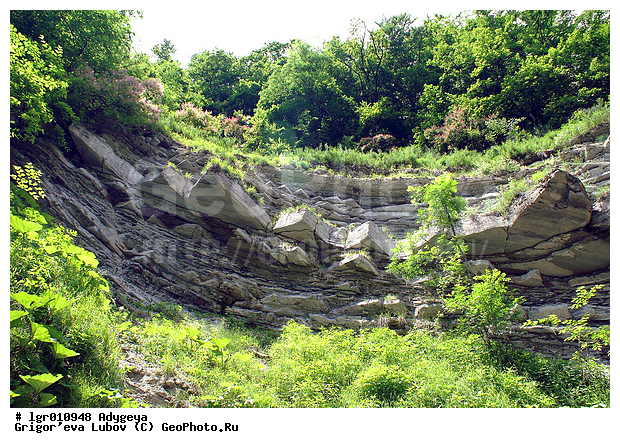 ������, ������, ��������� ����, ������, ���, ������, �����, ��������, ���, ����, ��������, �����������, �������, ���������, �����, ��������, ����, ����, ������