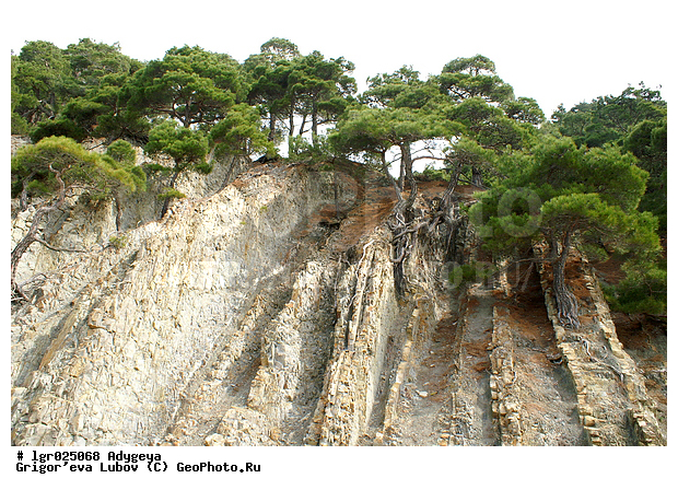 ������, �������, ������, ������ ����, �����, ���, �������, ���, ����, �����, ����������, �����, ������, ���������, ��������� , �����, ��������, �����, ����