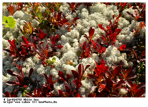 ����� ����, �������, ������, �������, ��������, ���������, ���, ������, ���������, �������, ��������, �����, �����