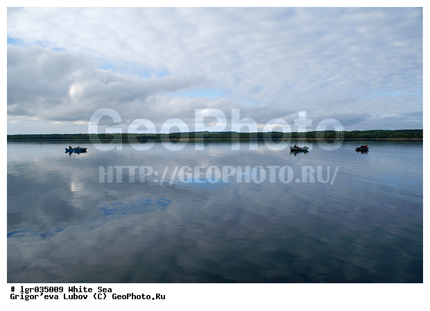 ����� ����, ���������, �������, �����, ����, �����, �������, ����, ����, ��������, ������, �����������, �����������, ����, ������