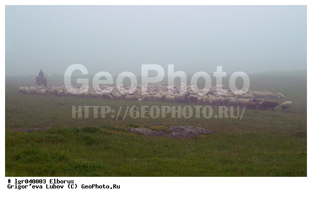 ������, �������, �����, ��������, ����, ����, ������, �����, �����, �����, ������������