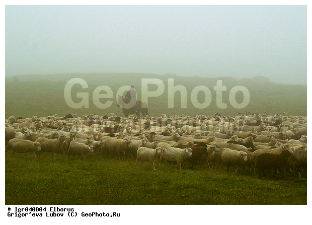 ������, �������, �����, ��������, ����, ����, ������, �����, �����, �����, ������������