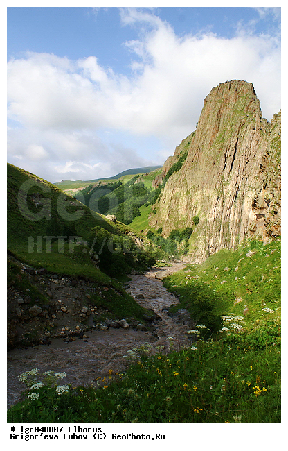 ������, �����, �������, �����, ����, ������, ������, ����, ������, �����, ���������, ����, �������� �����, �����, �����, ����, �����