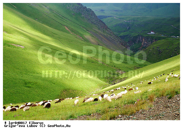 ������, �������, �����, ����, ������, ������, ����, ����, �����, ����, ���������, �������� �����, ���������, �����, ����, ������, �����