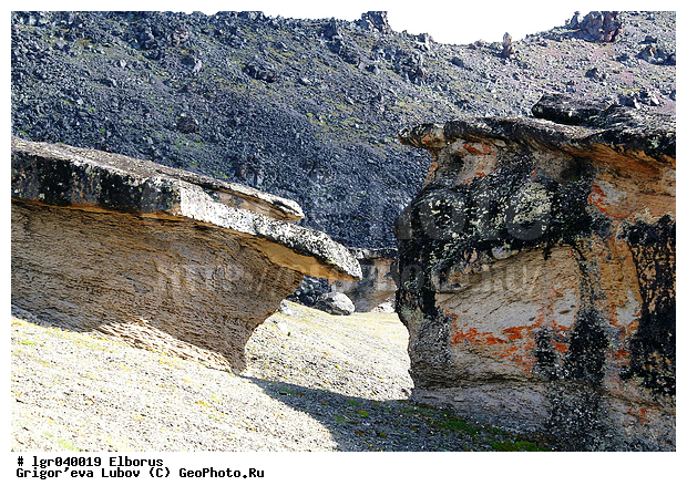 ������, �������, �����, ������������, ����, �����, ����, �������, �������� �����, �����, ������, ������