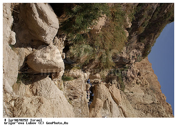 �������, ��������