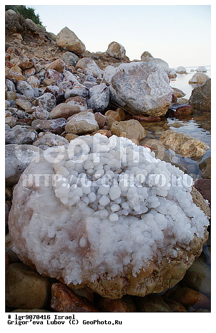 �������, ������