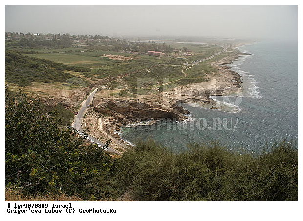 �������, ��������