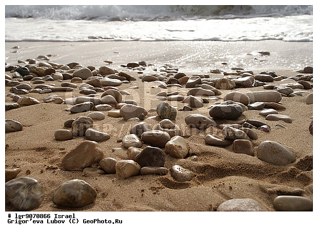 �������, ����, �������, ������