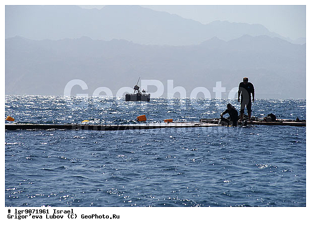 �������, ��������