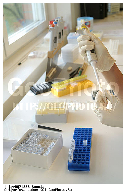 �����������, ��������, ��������, ��������, �����, ����