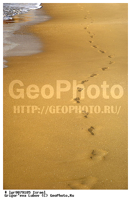 �������, ����, �������, ������