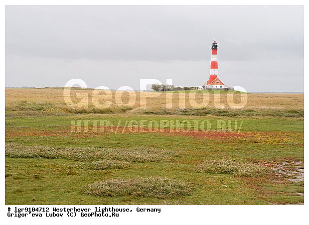 ��������, �������� ����, ����, �����������, ���, ����, ���������, ��������-�������� ����, ��������, �����