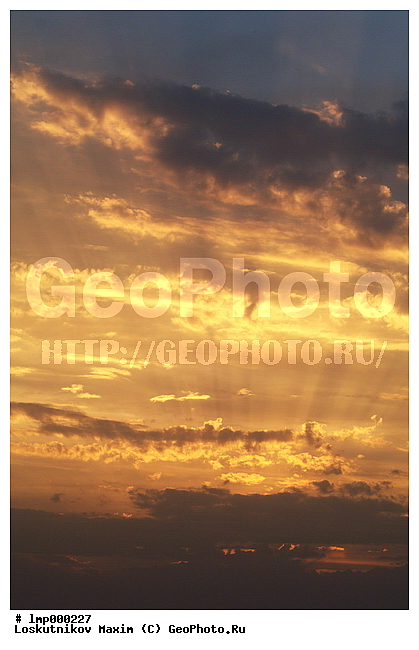 �������� ����, �����, ������, ������� �����, ������� ����, ����, ����, ������, ��������� ����, ����� ����, ������