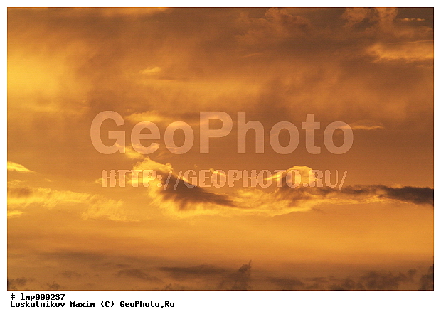 �������� ����, �����, ������, ������� �����, ������� ����, ����, ����, ������, ��������� ����, ����� ����, ������