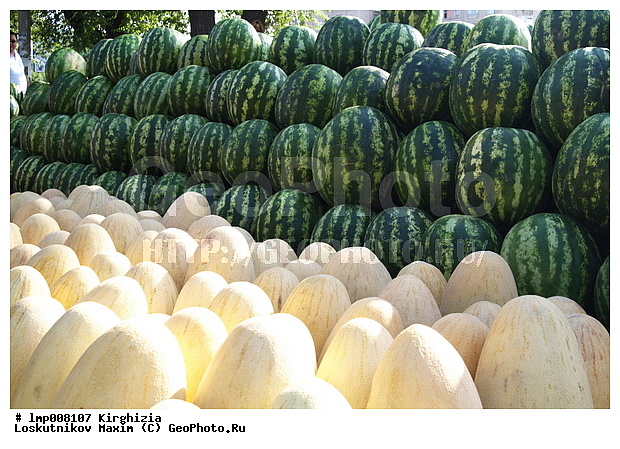 ��������, ���������� ����������, ����������, ���������� ����������, ����������, ���������� ����������, ���������� ����������, ������� ����, �����, ������, ��p�� � �������, �����, �������� ��������, ��������� �����, ����, ����, ������ ����, ����� ����, ���������� �����, ���������� �����, ����� �������, ����� ����, ����, ��������� ������, �����, ����� � �������, �������, �������, �����