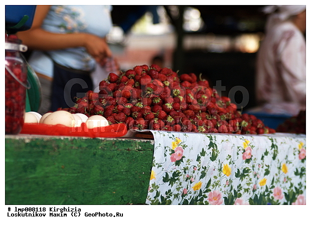 ��������, ���������� ����������, ����������, ���������� ����������, ����������, ���������� ����������, ���������� ����������, ������� ����, �����, ����� � �������, ��������� �����, ���������, ���������� �����, ��������, ���������� �����, ����, �����, ����� � �������, �����