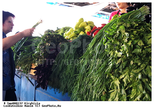 ��������, ���������� ����������, ����������, ���������� ����������, ����������, ���������� ����������, ���������� ����������, ������� ����, �����, ����� � �������, �������, ��������� �����, ������, �����, ���������� �����, ���������� �����, ���, ��������, ����, �����, ����� � �������, �����, ������, �����, ������, �����