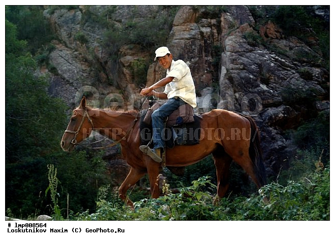 ��������, ���������� ����������, ����������, ���������� ����������, ����������, �������� ����, ���������� ����������, ���������� ����������, �������� ����-����, ���������� ������, ������� ����, ����-����, �������, ������ ������, ������ ��������, ����, ������, ������, ������ �� ������, ����, ������, ������ �� ������, ������, ���������, ������, ������ ��-���, ������� �� ������, ��������, ��������, �������������, �������������, �����, �����, XYZ, ���������, Equidae, �������� ������, Equus ferus caballus