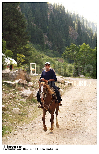 ��������, ���������� ����������, ����������, ���������� ����������, ����������, �������� ����, ���������� ����������, ���������� ����������, �������� ����-����, ���������� ������, ������� ����, ����-������� ���, ����-����, �������, ������ ������, ������ ��������, ����, ������, ���, ������ �� ������, ����, ������ �� ������, ������, ���������, ������, ������ ��-���, ������� �� ������, ��������, ��������, �������������, �������������, �����, �����, XYZ, ���������, Equidae, �������� ������, Equus ferus caballus