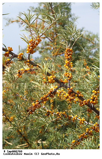 �����-�������� ��������, ��������, ���������� ����������, ����������, ���������� ����������, ����������, ���������� ����������, ���������� ����������, ����� ��������, ������� ��������, ���� ��������, ��������, ����, ��������, �����, �����