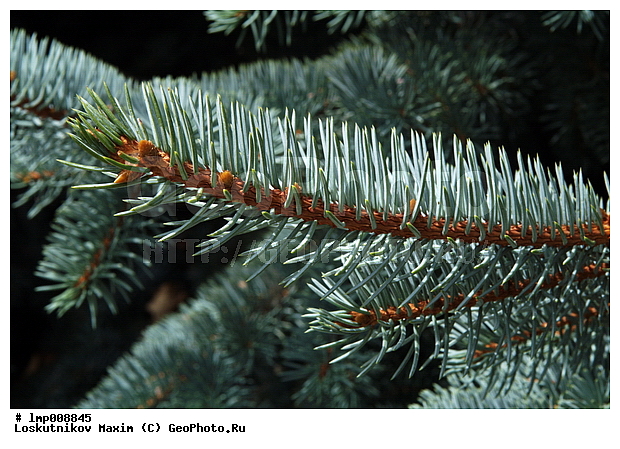 ��������, ���������� ����������, ����������, ���������� ����������, ����������, ���������� ����������, ���������� ����������, �����, ����� ������� ���, ����� ���, �������, ������� ������� ���, ������� ���, ���, ������, ��������, ��������, ������� ����