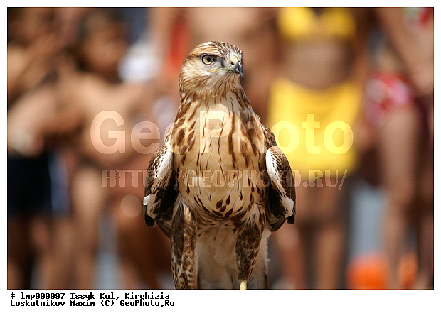 ��������, ���������� ����������, ����������, ���������� ����������, ����������, ���������� ����������, ���������� ����������, ������� ����, ����������, ��������, �������� � ����, ����, ����, ������, �����, �����, ����������� ������, ������, ������ �����