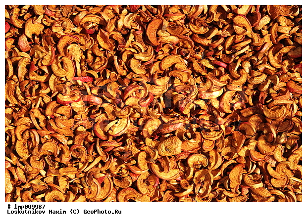 ����, ������� ������, �������, ���, �����