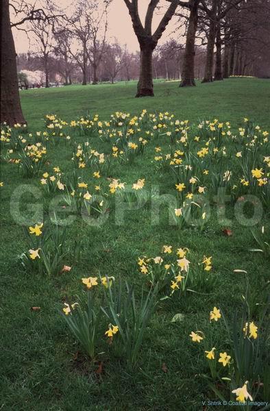 ������, ������, �����