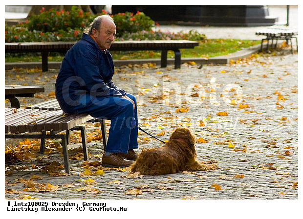 ��������, �������, �����