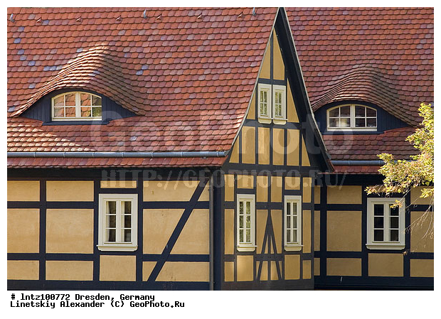 ��������, �������, �����