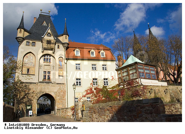 ��������, �������, �����