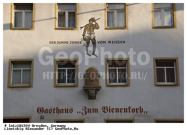 ��������, �������, �����