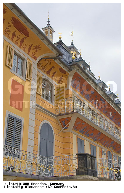 ��������, �������, �����