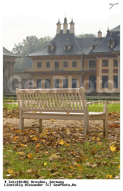 ��������, �������, �����