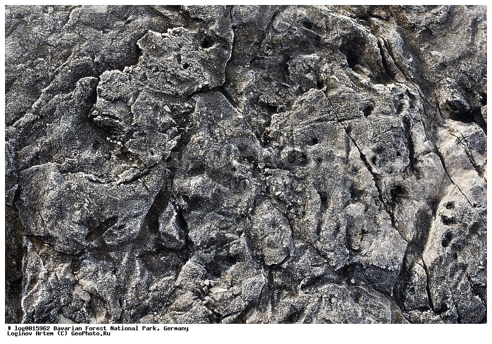 ��������, ������������ ���������� ��������, ���, �������, ������������ ���� ��������� ���, ��������� �������