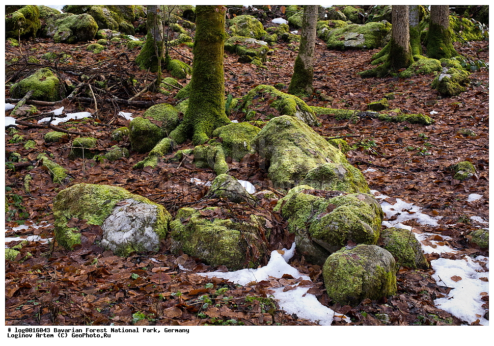 ��������, ������������ ���������� ��������, ���, �������, ������������ ���� ��������� ���, ������ ���, ����, ������