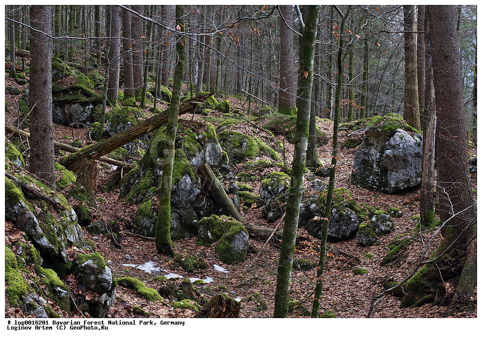 ��������, ������������ ���������� ��������, ���, �������, ������������ ���� ��������� ���, ������ ���, ����, ������