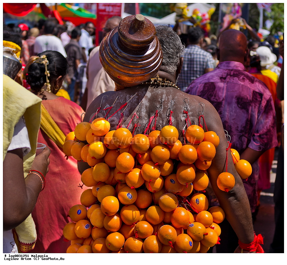  ��������, ����������� ��������, ��������