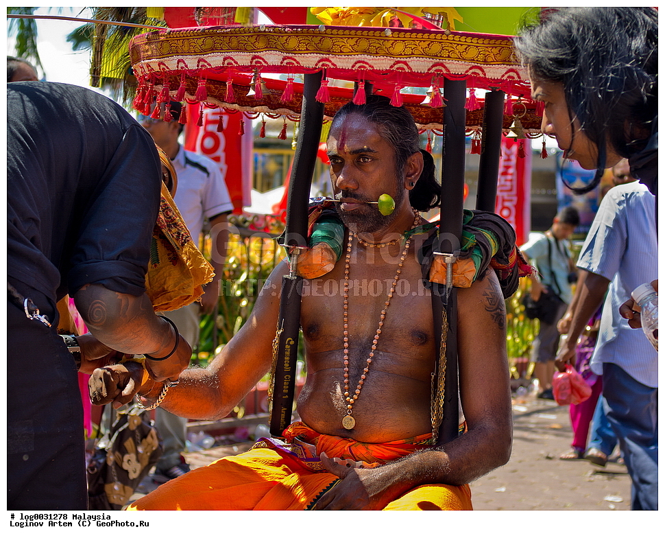  ��������, ����������� ��������, ��������