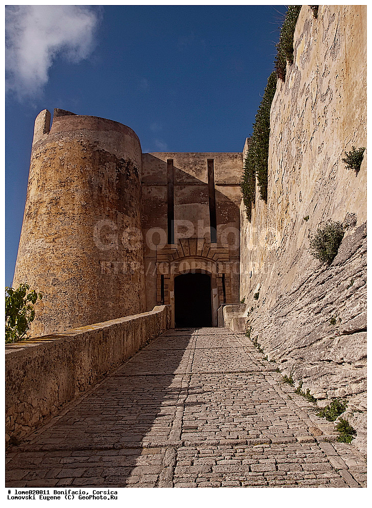 ��������, �������, �������, �������, ������