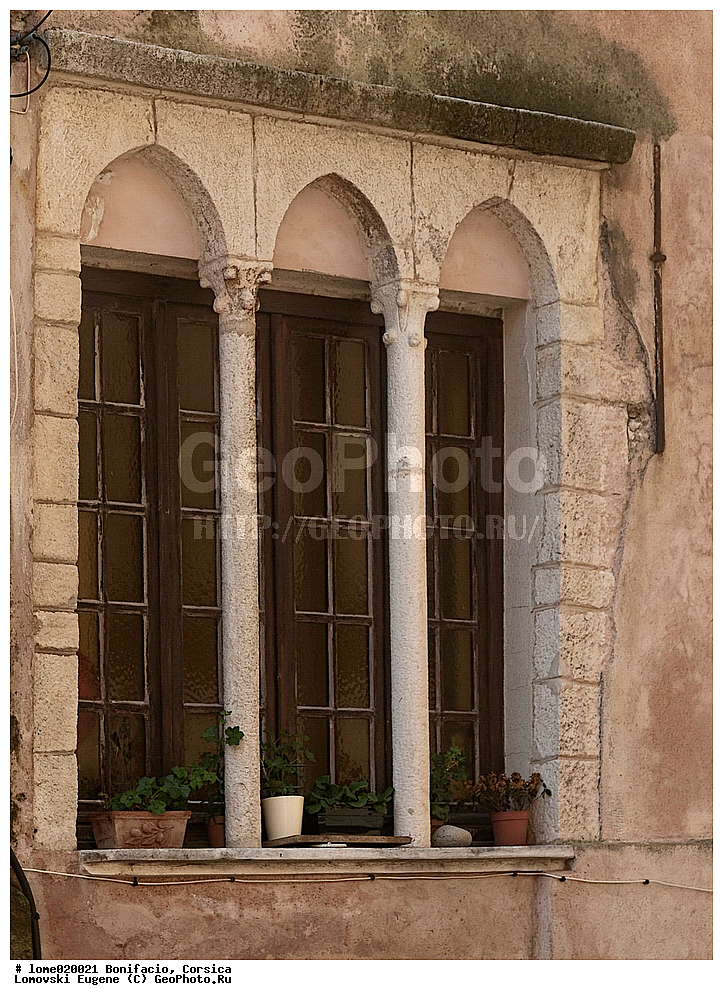 ��������, �������, �������, �������, ������